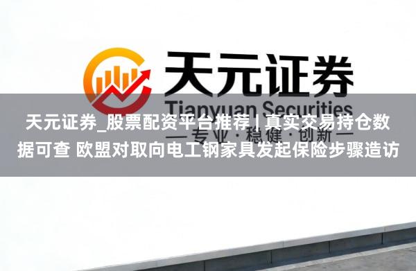 天元证券_股票配资平台推荐 | 真实交易持仓数据可查 欧盟对取向电工钢家具发起保险步骤造访