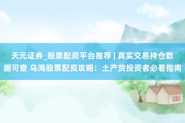 天元证券_股票配资平台推荐 | 真实交易持仓数据可查 乌海股票配资攻略：土产货投资者必看指南