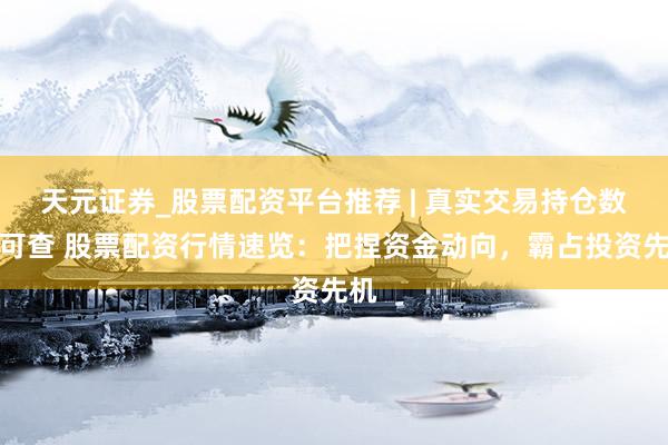 天元证券_股票配资平台推荐 | 真实交易持仓数据可查 股票配资行情速览：把捏资金动向，霸占投资先机