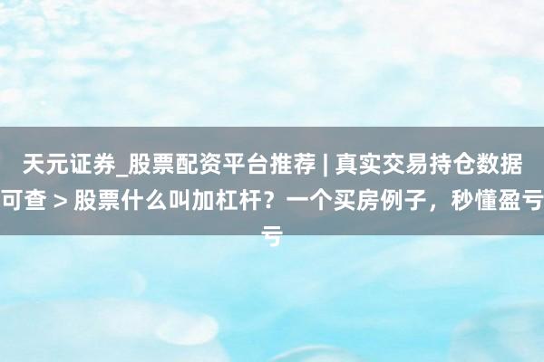天元证券_股票配资平台推荐 | 真实交易持仓数据可查 > 股票什么叫加杠杆？一个买房例子，秒懂盈亏
