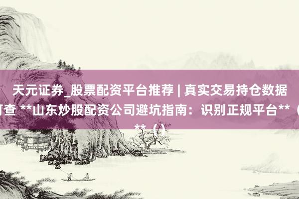 天元证券_股票配资平台推荐 | 真实交易持仓数据可查 **山东炒股配资公司避坑指南:识别正规平台**()